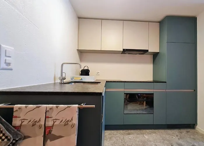 Διαμέρισμα Chesa La Furia 1 Zi Whg 31m2 By Interhome Pontresina