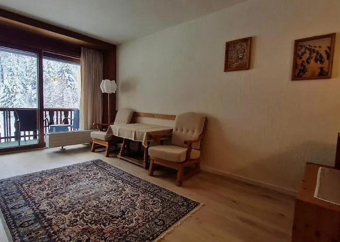 Chesa La Furia 1 Zi Whg 31m2 By Interhome Apartamento